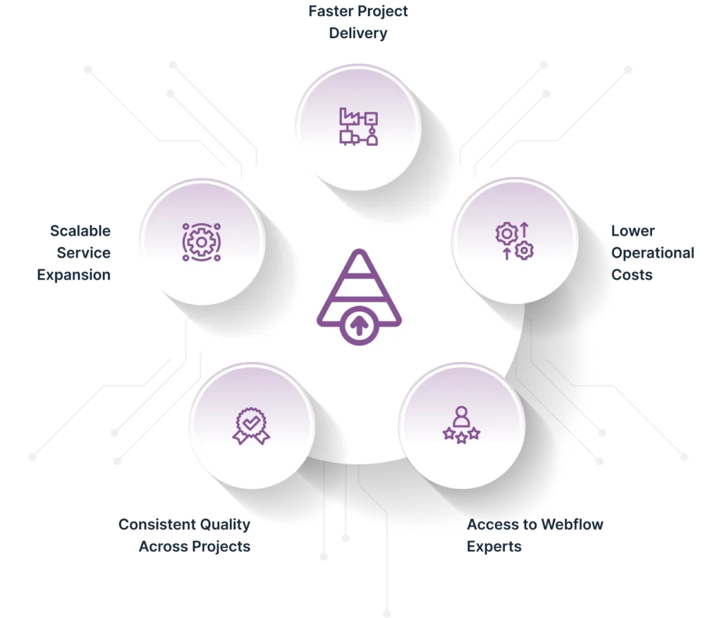 Webflow White Label img2